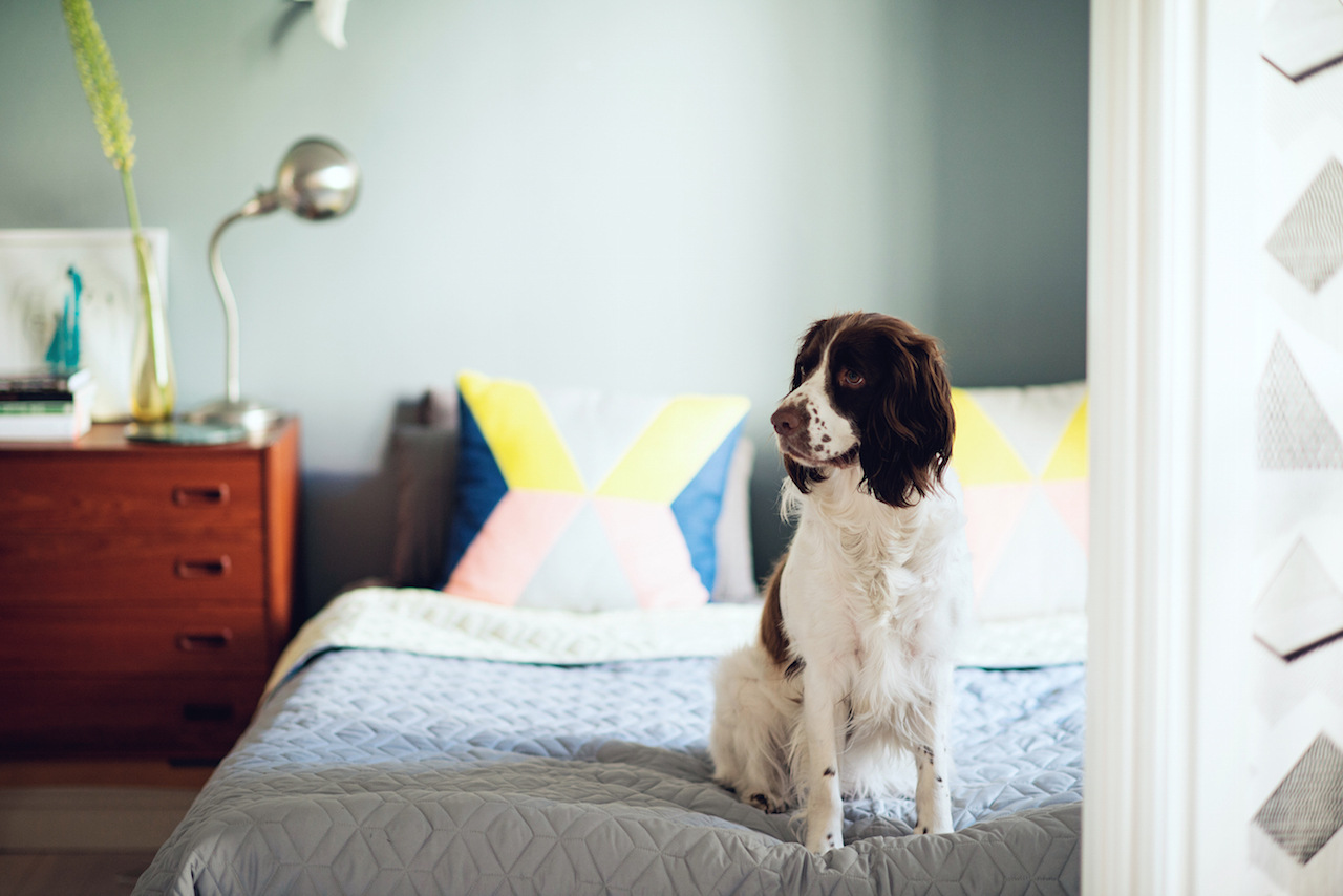 szwecja Dana _DSC1695