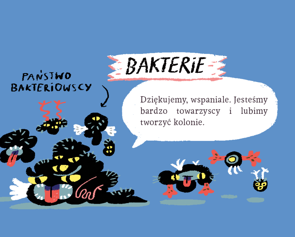Zrzut-ekranu-2020-10-12-o-14.45.40.png