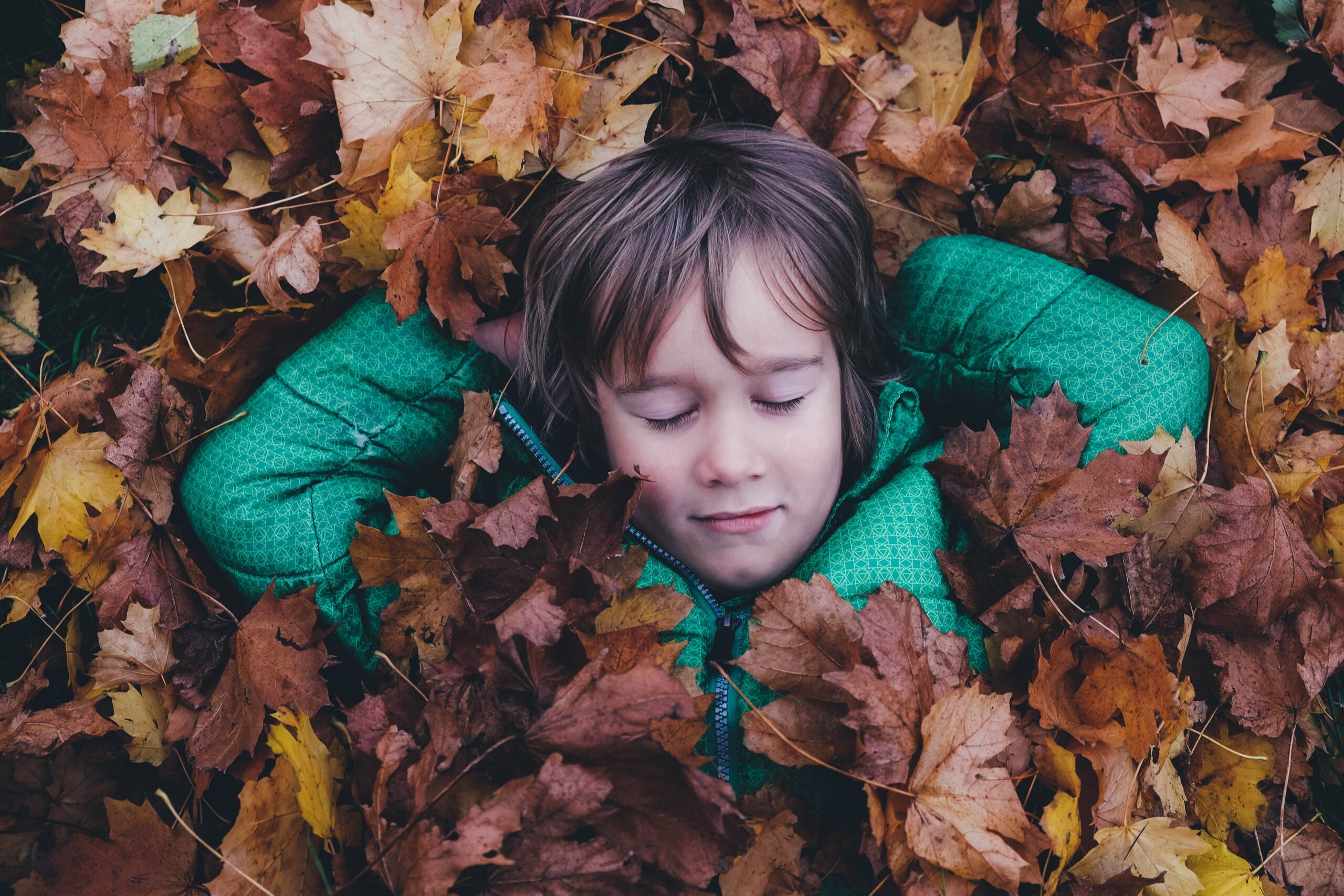 annie-spratt-Ewfrjh0GvtY-unsplash-scaled.jpg