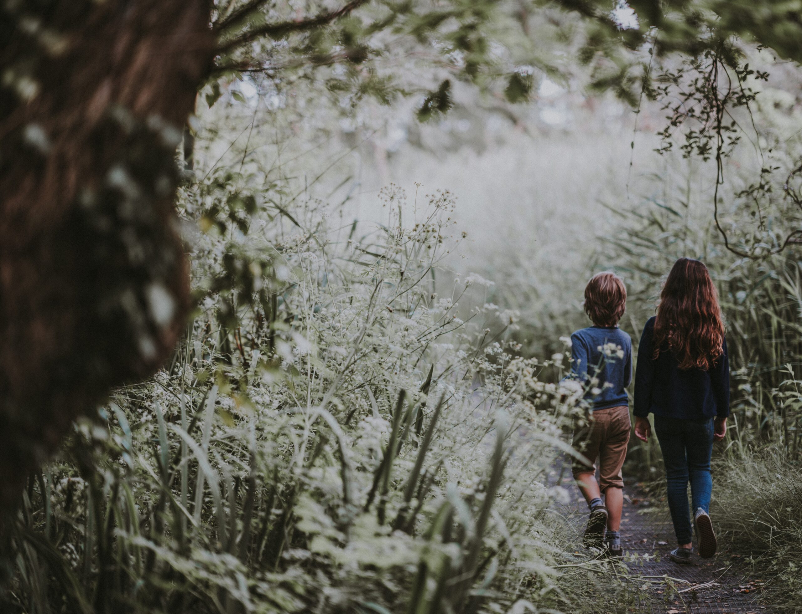 annie-spratt-GIK1tsETnXI-unsplash-scaled.jpg