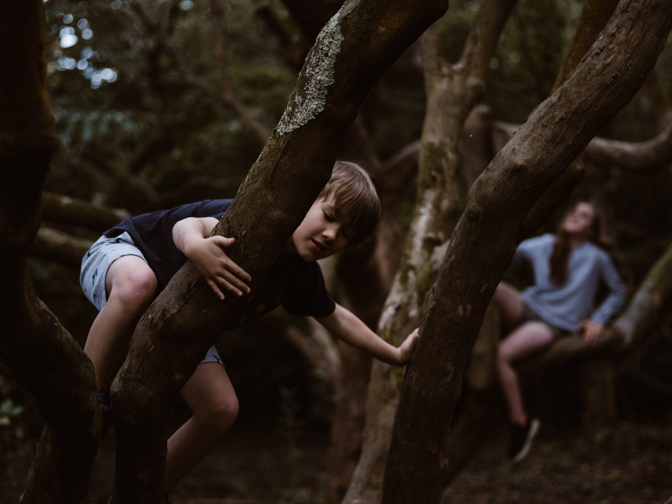 annie-spratt-JUIieIDu54-unsplash-scaled.jpg