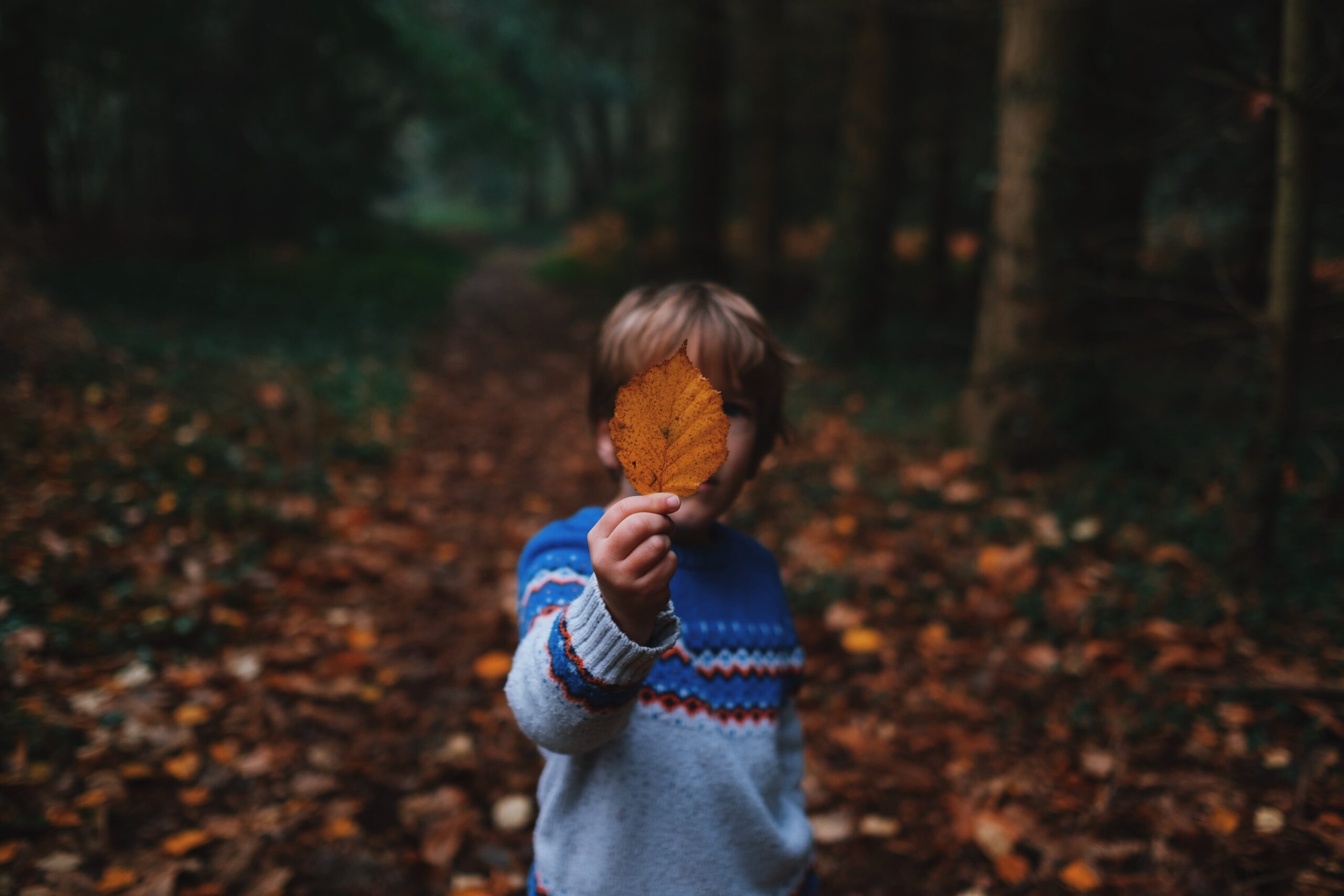 annie-spratt-Pp2XOLkS5Jg-unsplash-scaled.jpg
