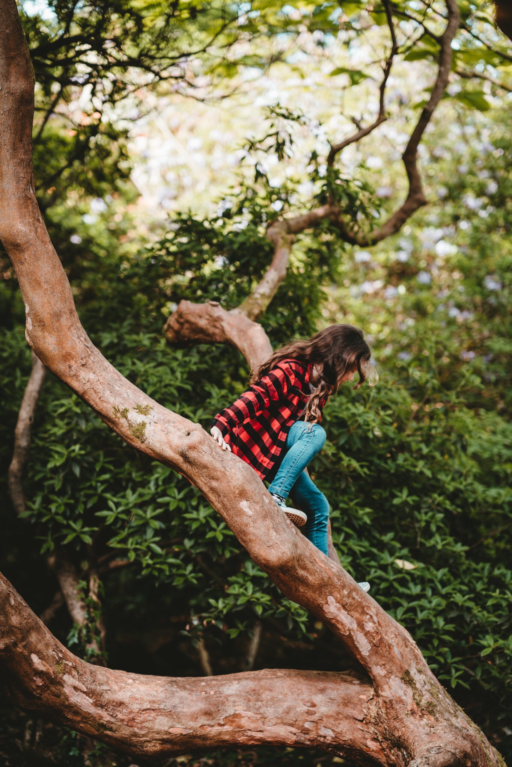 annie-spratt-T9Ee1t7GQlA-unsplash-scaled.jpg