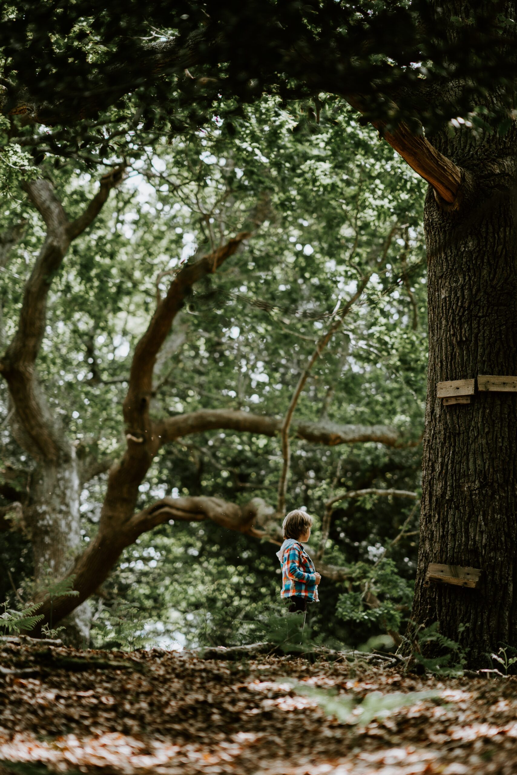 annie-spratt-UZ1vujYdx8E-unsplash-scaled.jpg