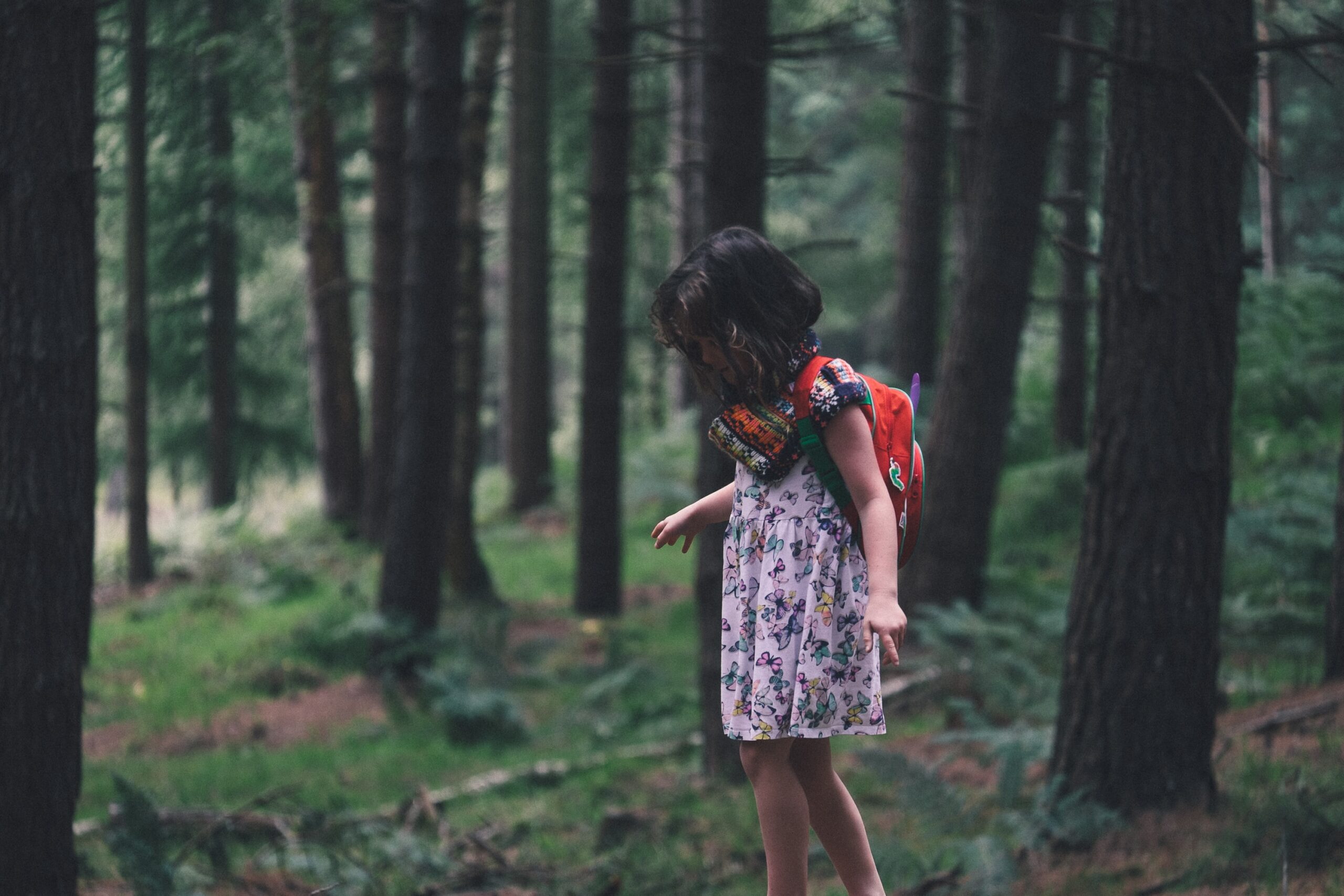 annie-spratt-oXUEUEVJgec-unsplash-scaled.jpg