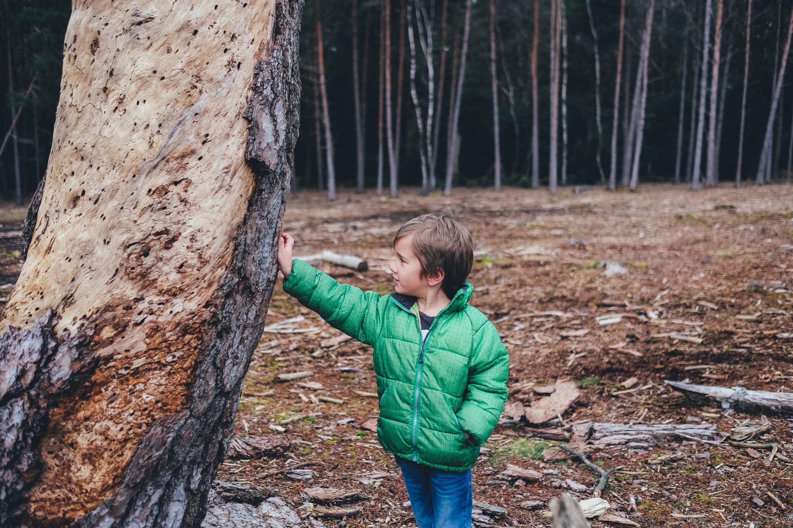 annie-spratt-tW3v0Q-D4Ws-unsplash-scaled.jpg